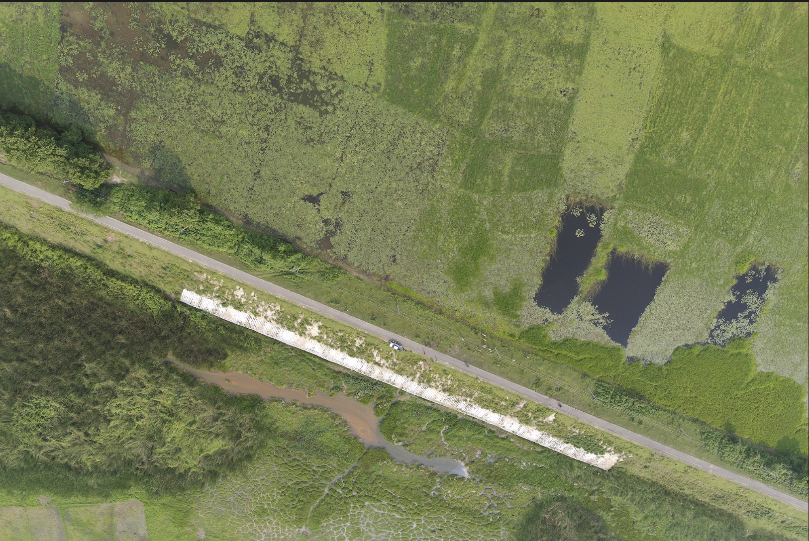 Orthophoto Image 1