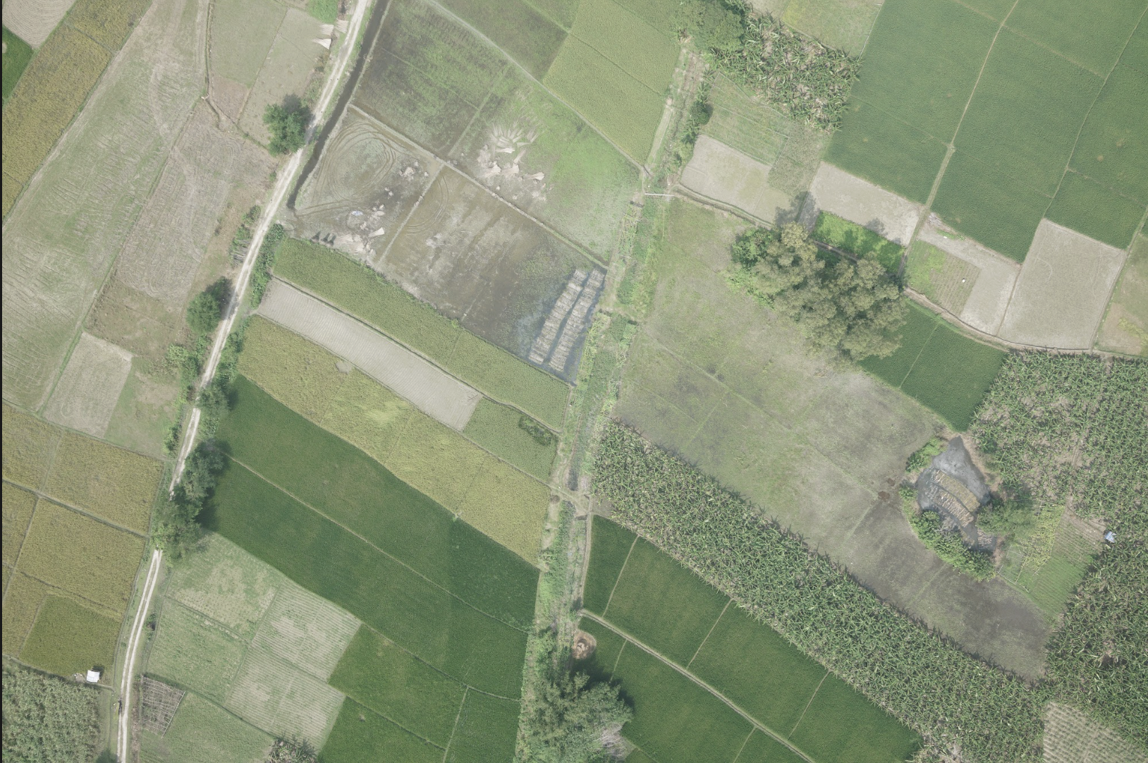 Orthophoto Image 4