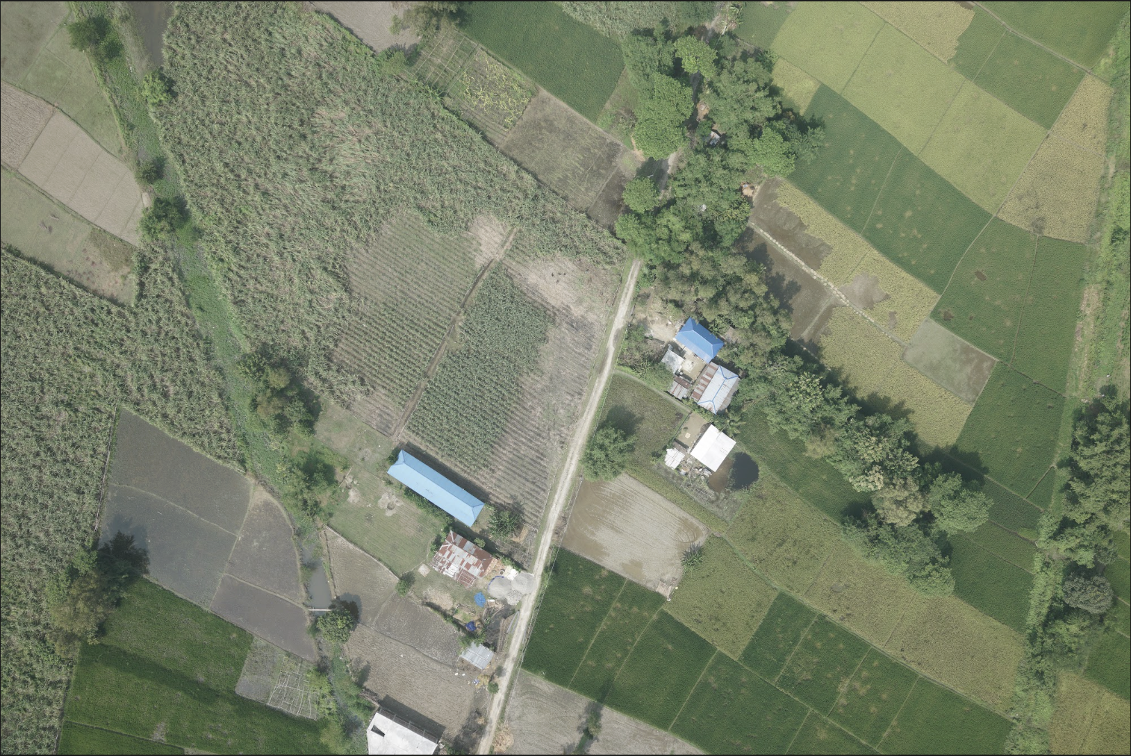 Orthophoto Image 5