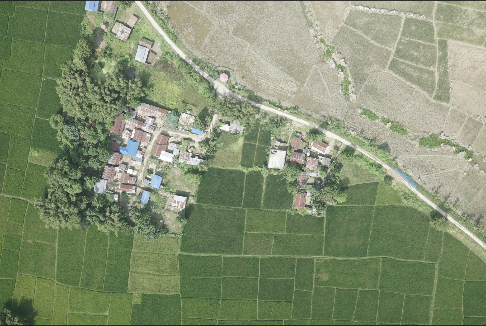 Orthophoto Image 9